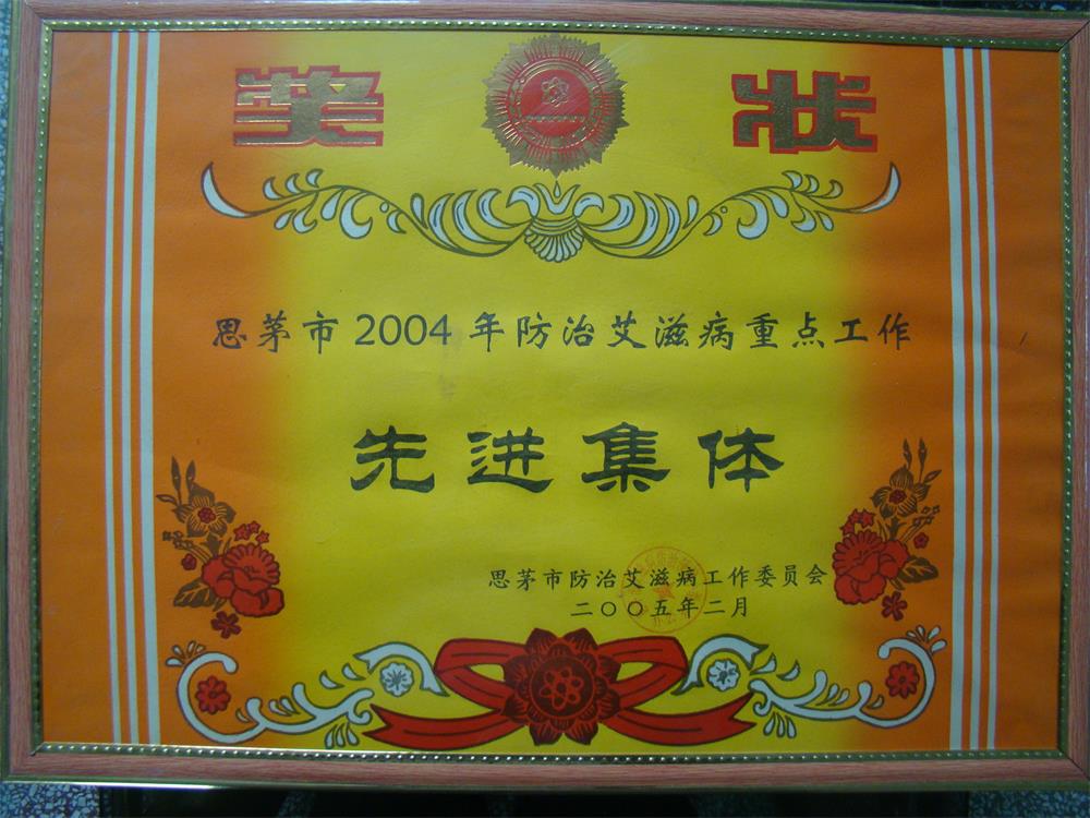 2004年各项奖状