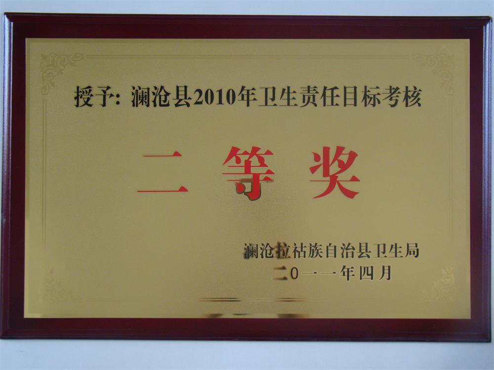 2010年各项荣誉