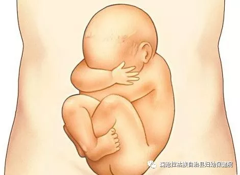 新型冠状病毒肺炎防控期间，孕产妇到妇幼机构就诊注意事项