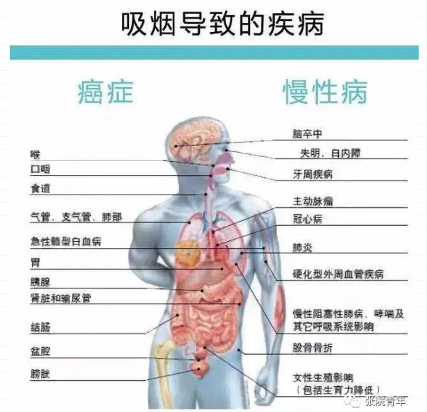 【禁烟知识】吸烟的危害到底有多大？