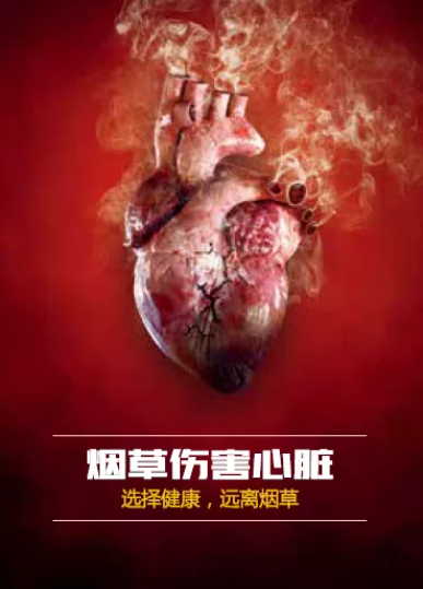 控烟宣传 | 人人参与控烟活动，共创健康无烟环境