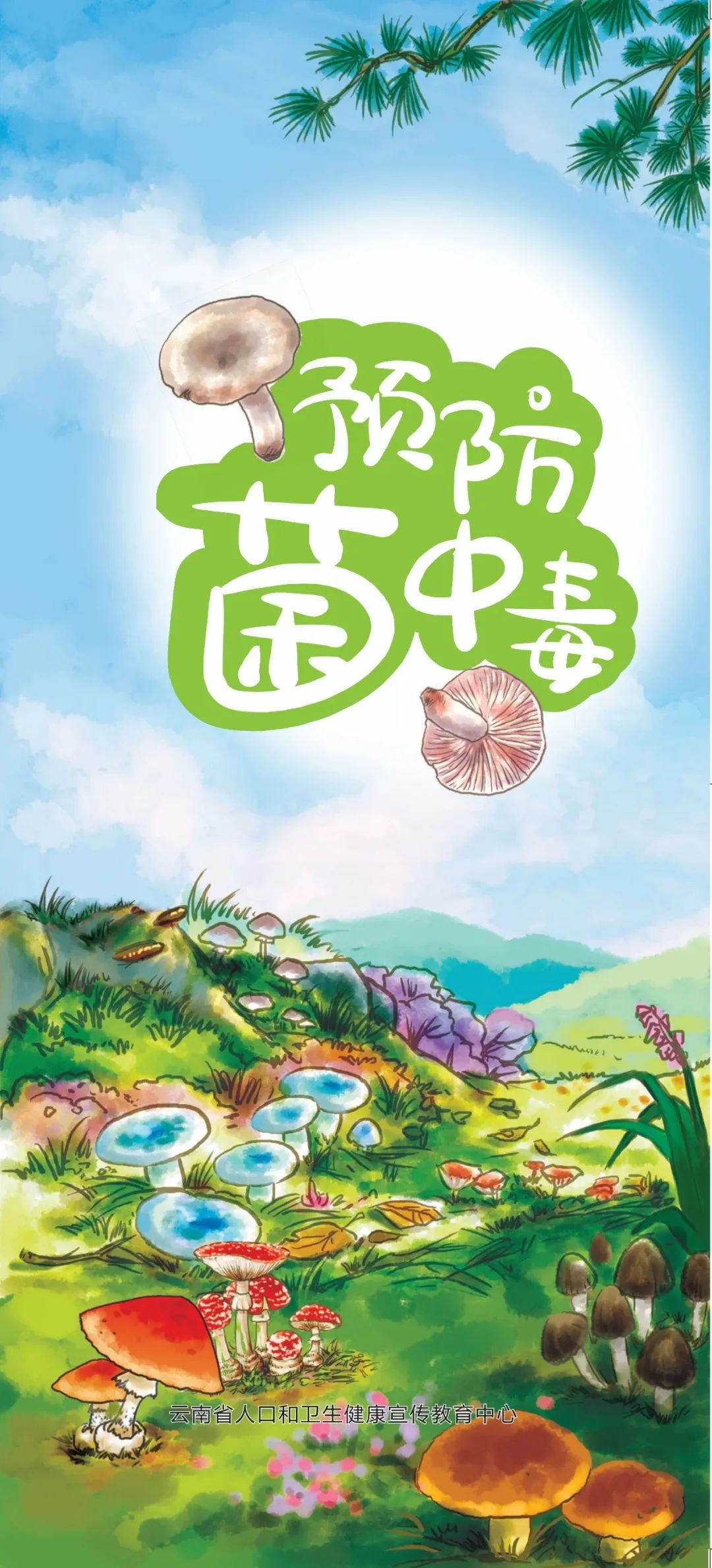 一图读懂预防菌中毒