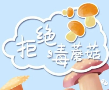 毒蘑菇高发季！这些蘑菇真的有毒！请勿食用！