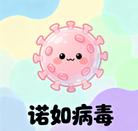 诺如病毒防治指南：守护健康，从细节做起