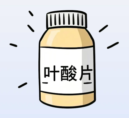 孕前与孕期叶酸补充科普指南