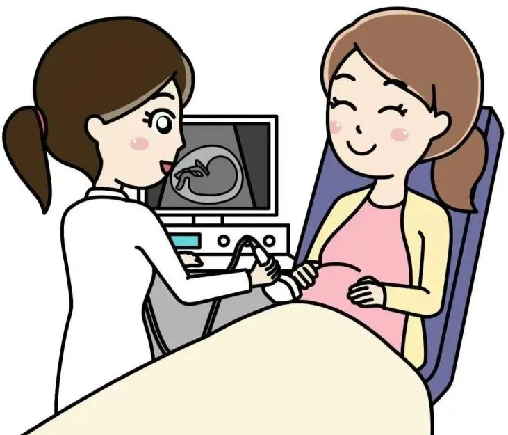 产前超声检查小知识