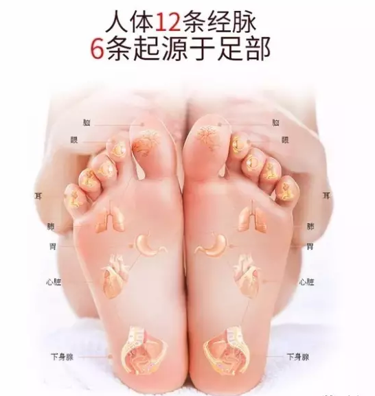 图片53.png