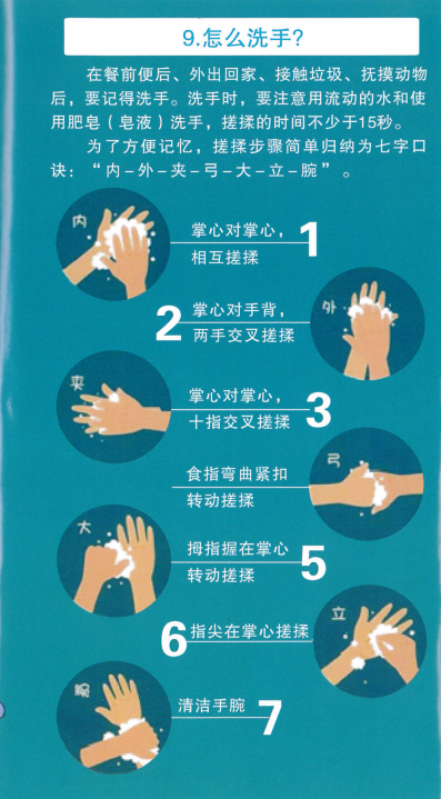 10.jpg